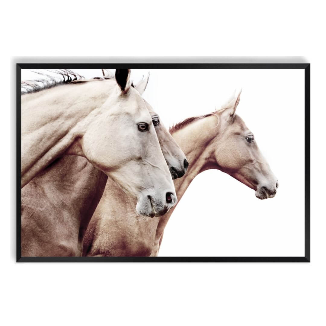 3 Palomino Horses Wall Art Print with a Black Frame and no border by Beautiful Home Decor also available unframed.
