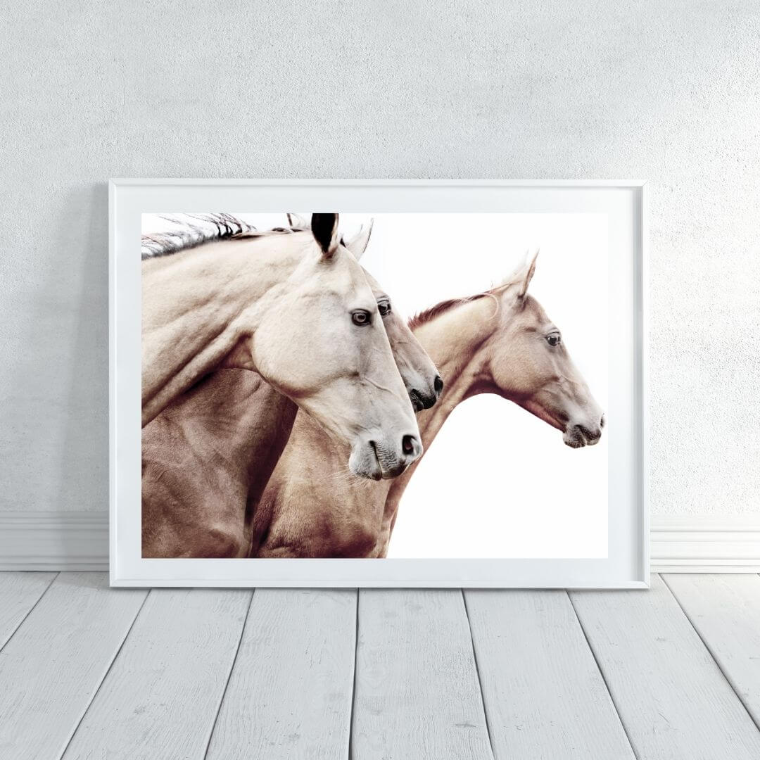 The brown tan 3 Palomino Horses Artwork Wall Art Print framed in white to decorate your empty shelves and walls
