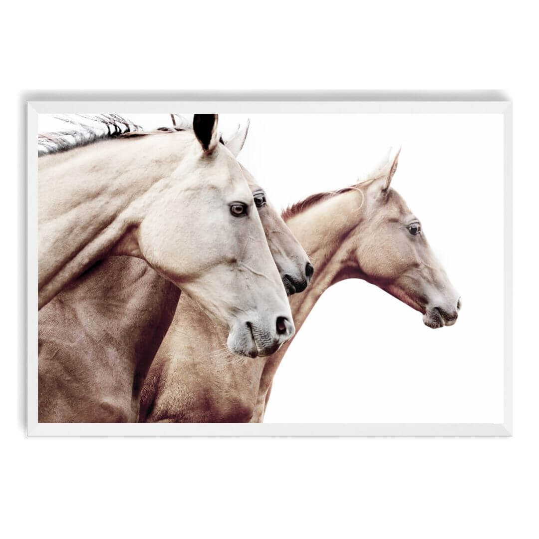3 Palomino Horses Wall Art Print with a White Frame and no border by Beautiful Home Decor also available unframed.