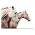 3 Palomino Horses Wall Art Photo Print Not Framed Unframed by Beautiful Home Decor, artwork also available framed