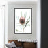 The wall art print of an Australian Native Banksia  Flower  B with a black frame or unframed above a sofa in the living room