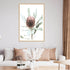 A floral Australian Natives artwork of one Australian native peach Banksia flower B in a timber framed print on a living room wall. 