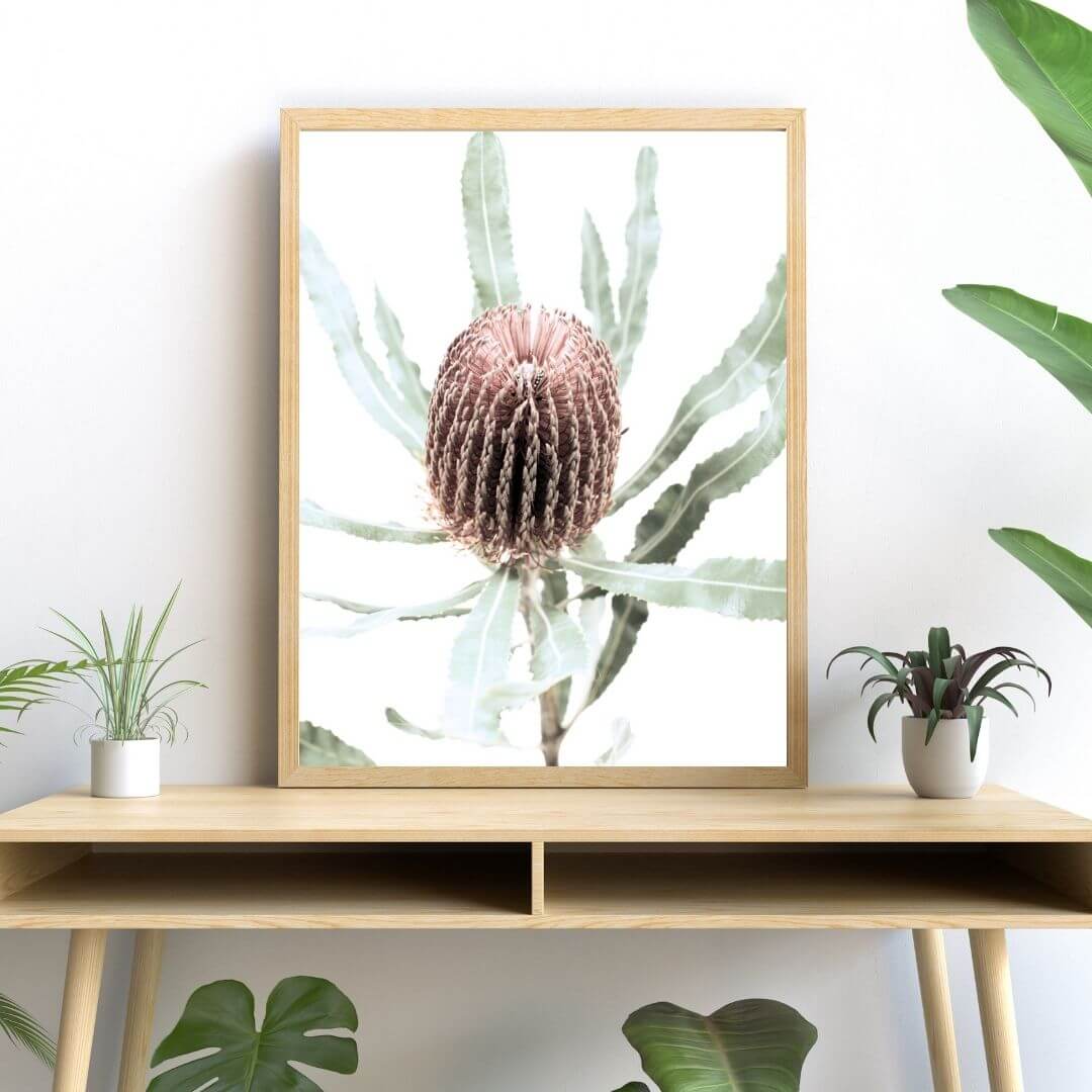 The wall art print of an Australian Native Banksia  Flower  B with a timber frame or unframed above a console table