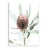The wall art print of an Australian Native Banksia Floral B unframed without no white border also available framed.