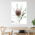 The wall art print of an Australian Native Banksia Floral B artwork with a white frame or unframed on a dining room wall