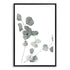 A wall art photo print of an Australian native eucalyptus leaves A with a black frame, white border by Beautiful Home Decor