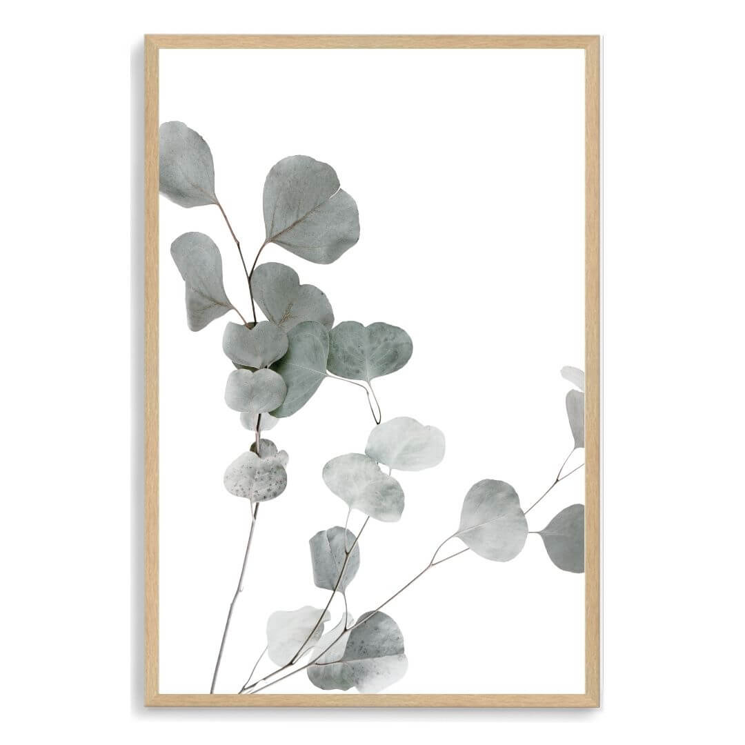 A wall art photo print of an Australian native eucalyptus leaves A with a timber frame, no white border at Beautiful HomeDecor