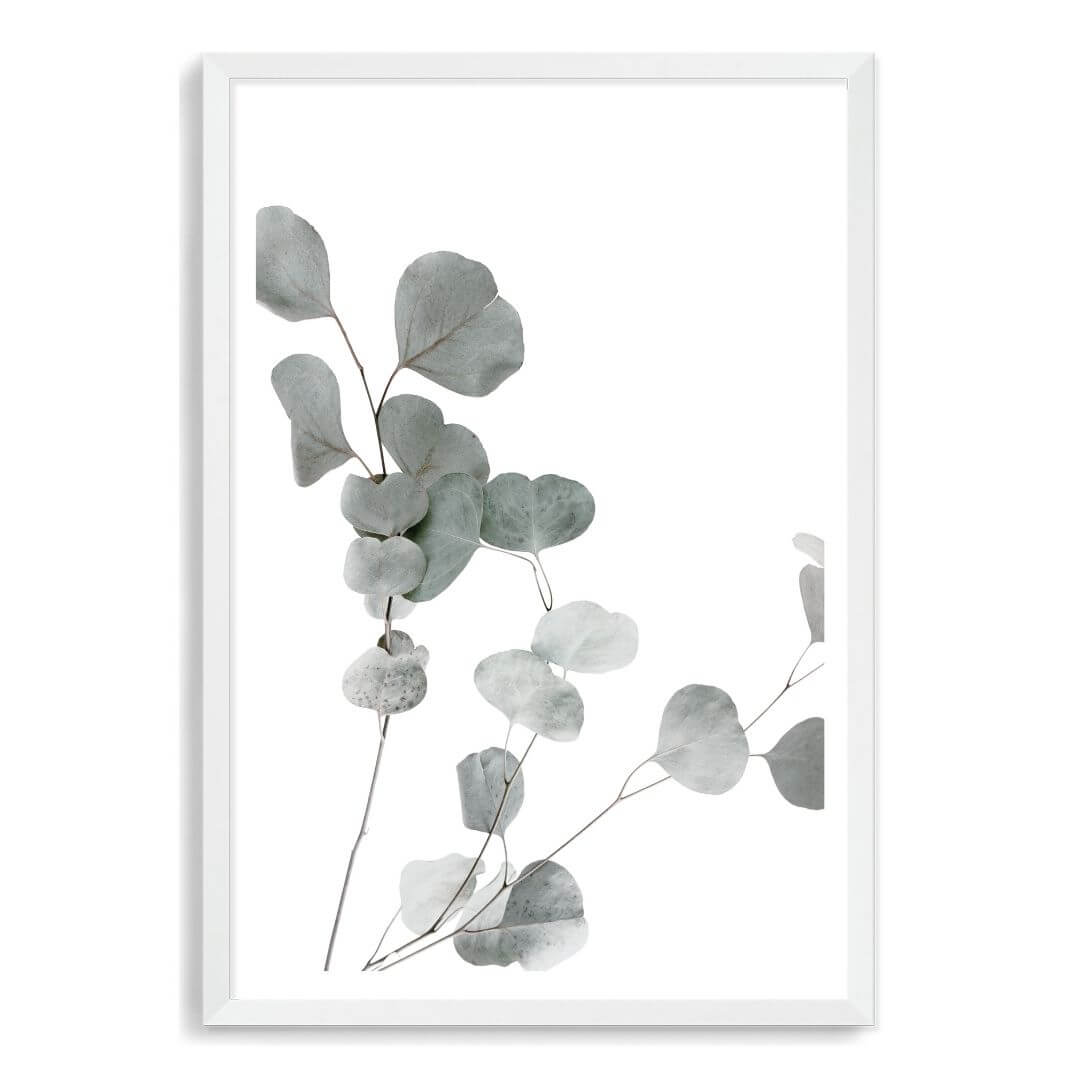 A wall art photo print of an Australian native eucalyptus leaves A with a white frame, white border by Beautiful Home Decor