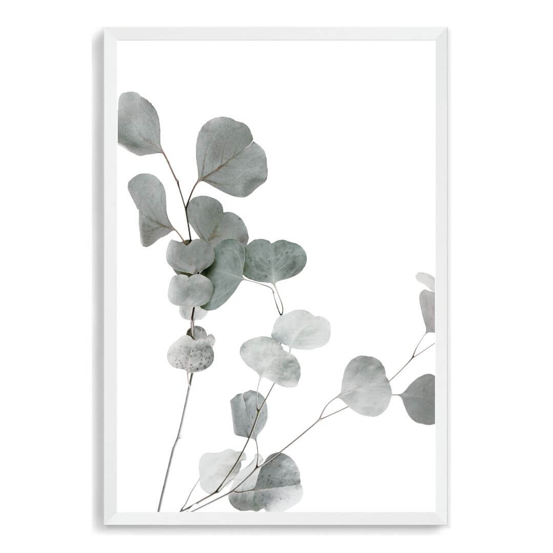 A wall art photo print of an Australian native eucalyptus leaves A with a white frame, no white border at Beautiful HomeDecor