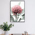 A wall art photo print of a red Australian native waratah flower A with a black frame, no border on office study room wall