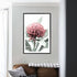 A wall art photo print of a red Australian native waratah flower A with a black frame or unframed to decorate a wall in your living room