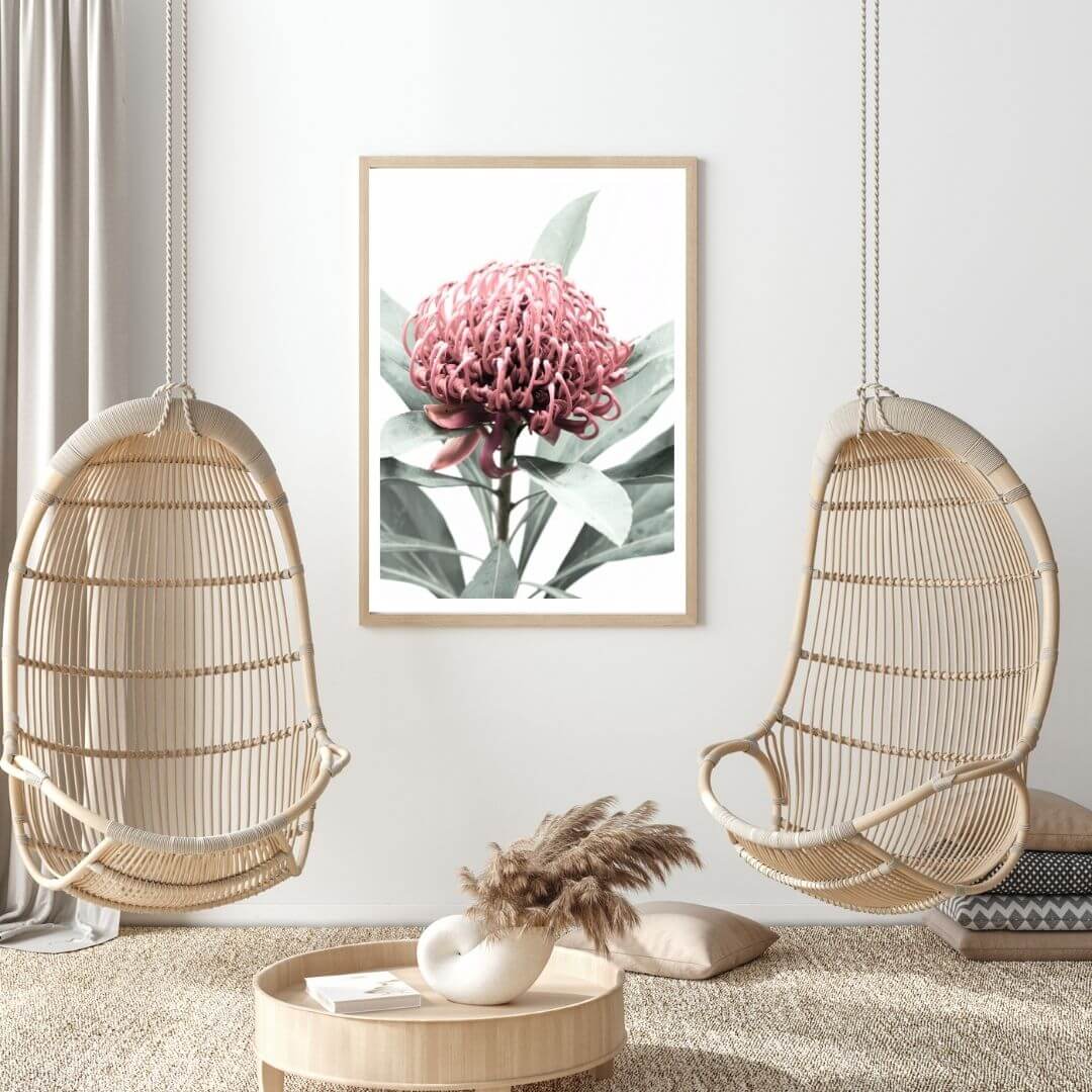 A wall art photo print of a red Australian native waratah flower A with a timber frame to style a wall in living room