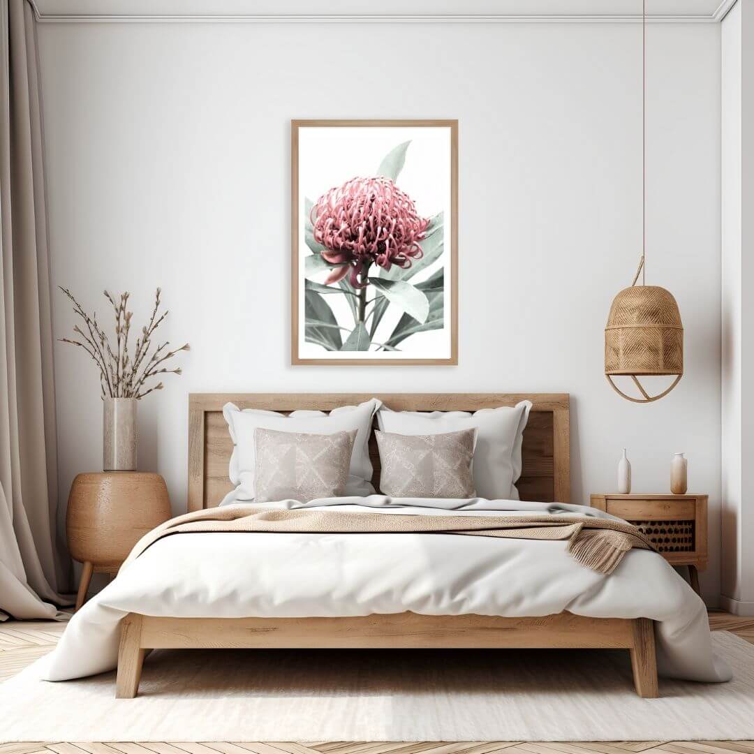 A wall art photo print of a red Australian native waratah flower A with a timber frame or unframed for your bedroom empty walls
