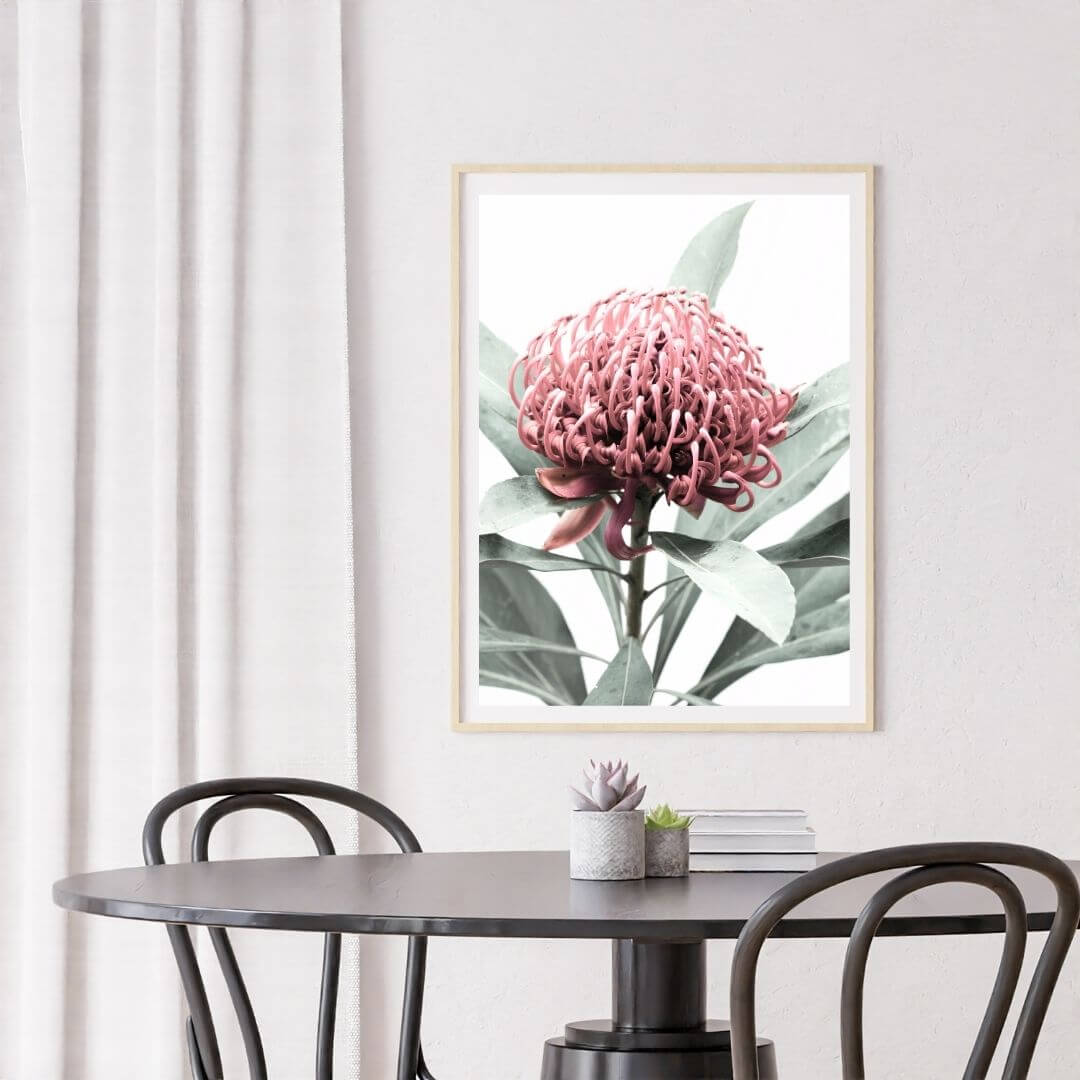 A wall art photo print of a red Australian native waratah flower A with a timber frame to style a coastal Australian dining room
