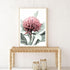 A wall art photo print of a red Australian native waratah flower A with a timber frame in hallway shop online at Beautiful Home Decor with free shipping