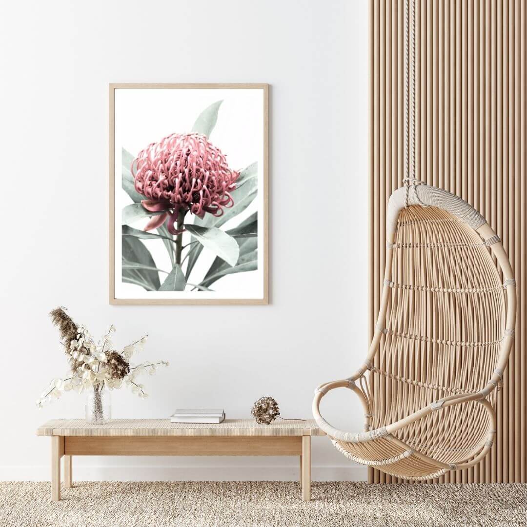 A wall art photo print of a red Australian native waratah flower A with a timber frame for the living room by Beautiful HomeDecor