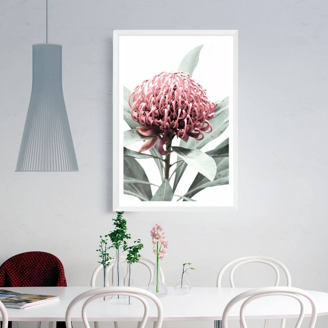 A wall art photo print of a red Australian native waratah flower A with a white frame or unframed to style your dining room walls