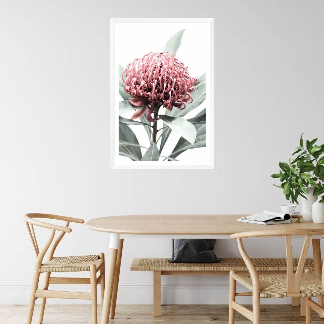 A wall art photo print of a red Australian native waratah flower A with a white frame or unframed for your dining room