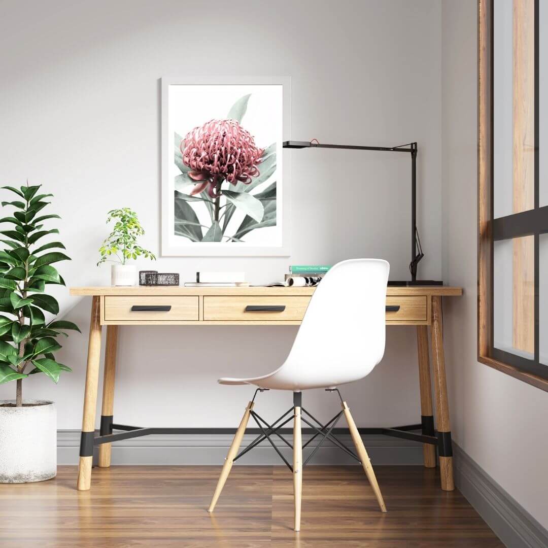 A wall art photo print of a red Australian native waratah flower A with a white frame or unframed for the wall in a kids room