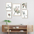 A wall art gallery set of Australian Natives prints to decorate your hallway walls