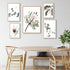 Australian Natives wall art prints gallery set to style your dining room