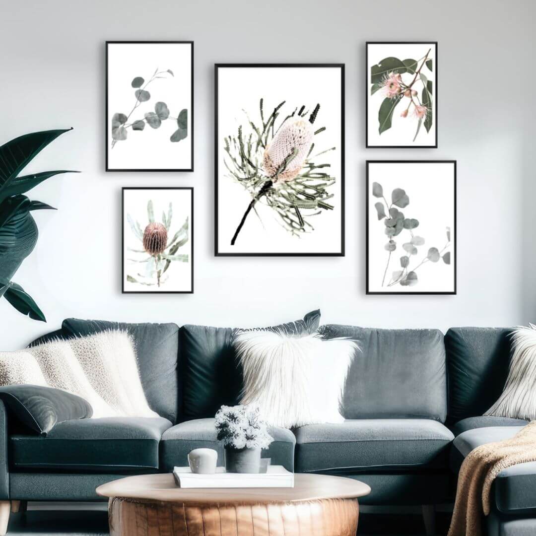 A framed gallery wall art set of 5 Australian Natives Flowers to decorate your empty walls