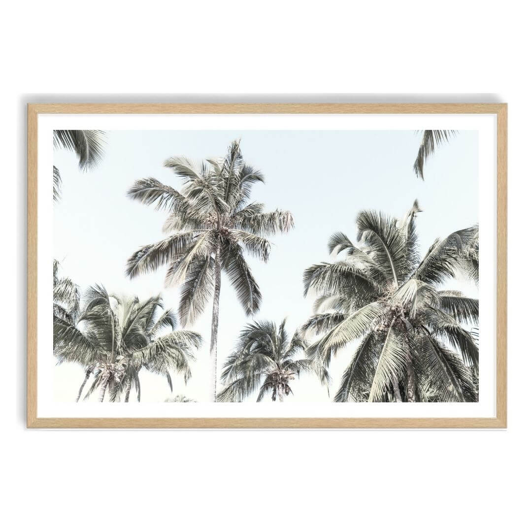 A wall art photo print of coastal palm trees and blue sky with a timber frame, white border by Beautiful Home Decor