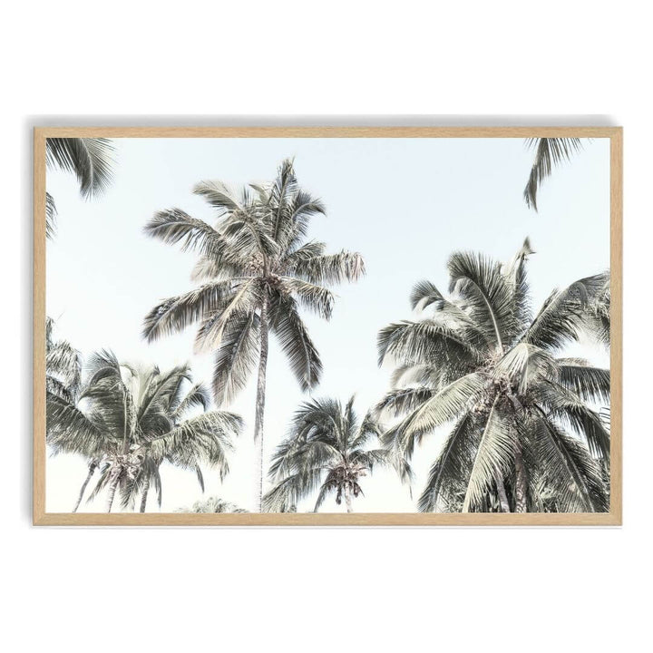 Coastal Palm Trees Wall Art Print, Hamptons Beach Wall Art Ideas