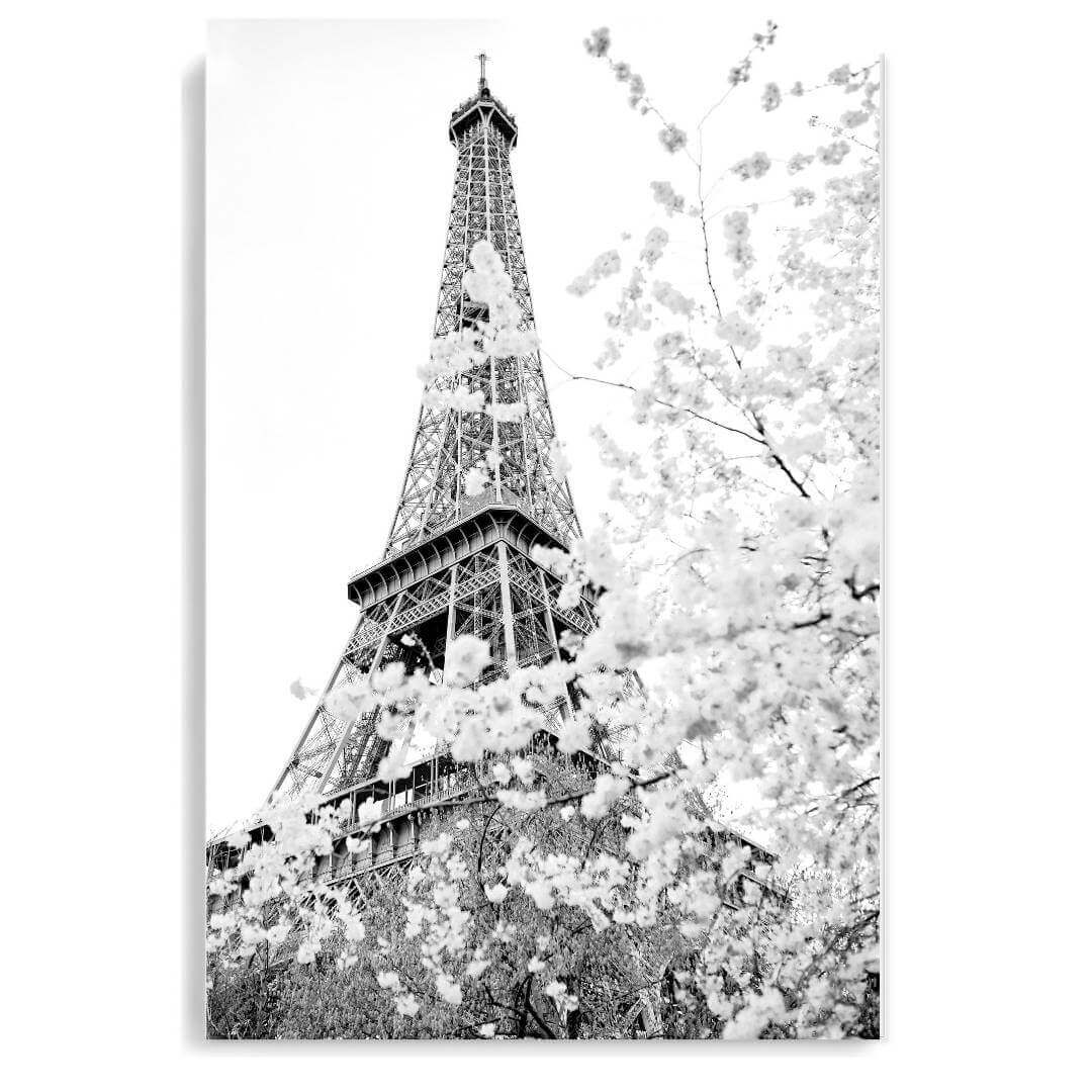 A black and white wall art photo print of the Eiffel Tower in Spring unframed, printed edge to edge without a white border