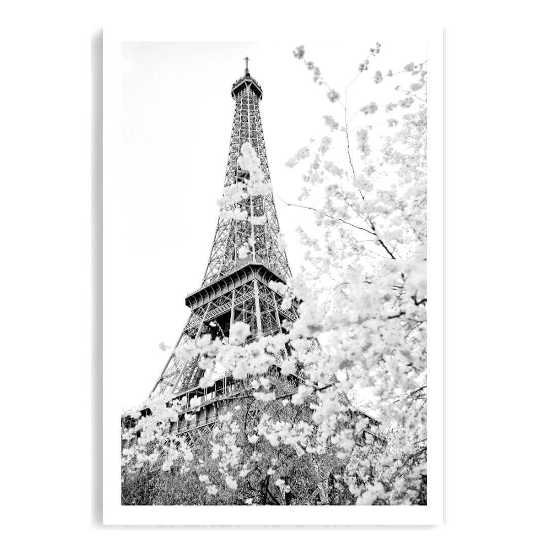 A black and white wall art photo print of the Eiffel Tower in Spring unframed with a white border by Beautiful HomeDecor