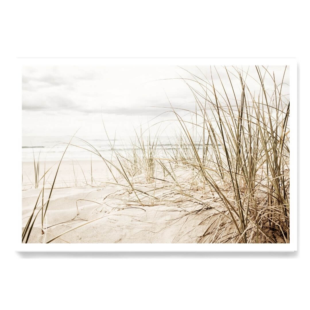 A wall art photo print of a grassy beach shore unframed with a white border by Beautiful HomeDecor