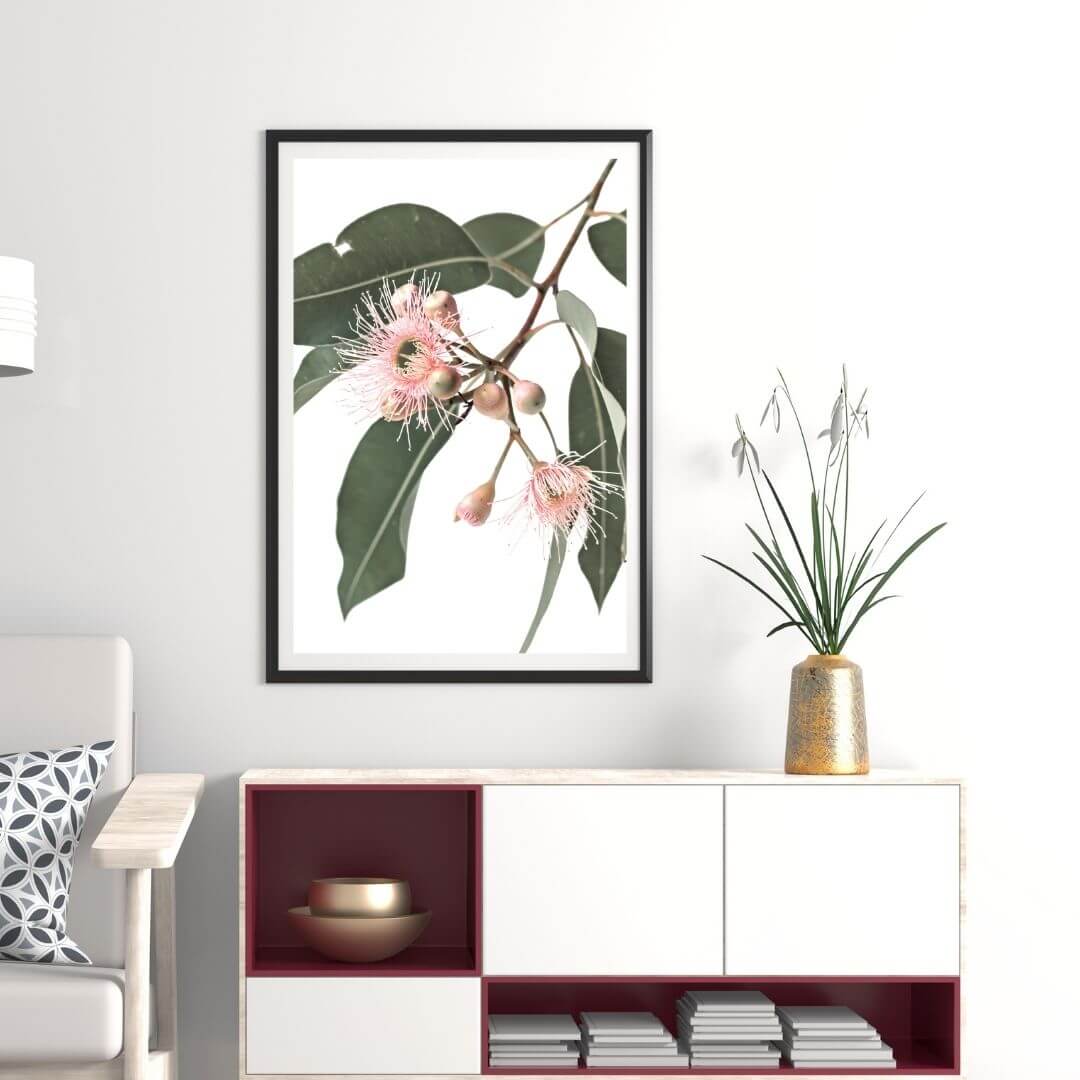 A wall art photo print of native gum eucalyptus flower a with a black frame or unframed to decorate a wall in your living room