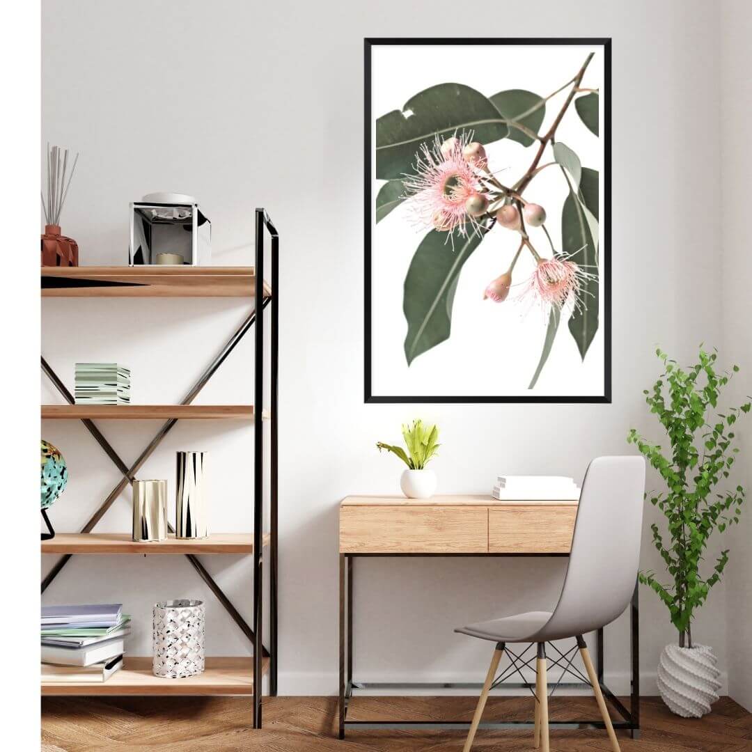 A wall art photo print of native gum eucalyptus flower a with a black frame or unframed to decorate an empty wall