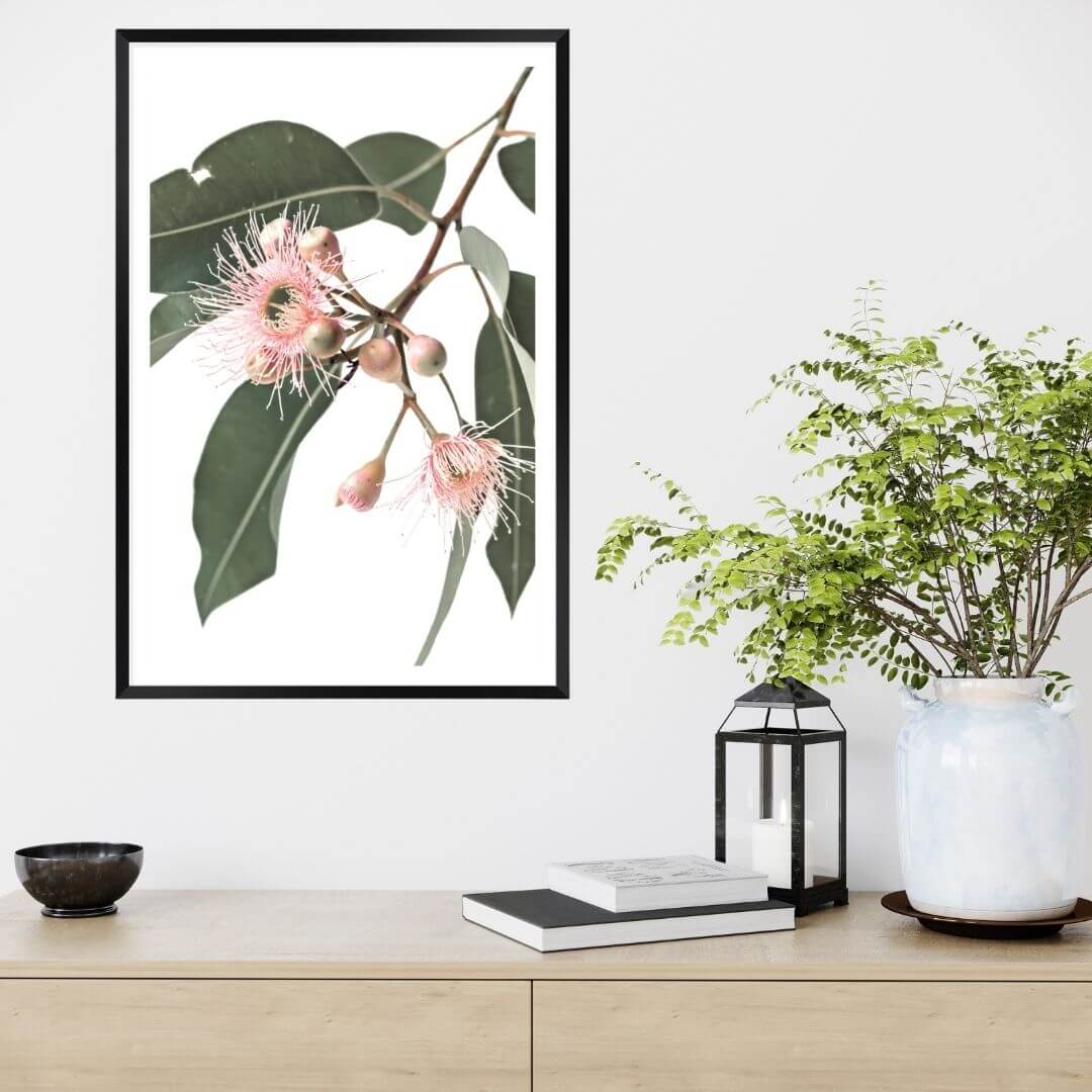 A wall art photo print of native gum eucalyptus flower a with a black frame or unframed to style shelves and empty walls