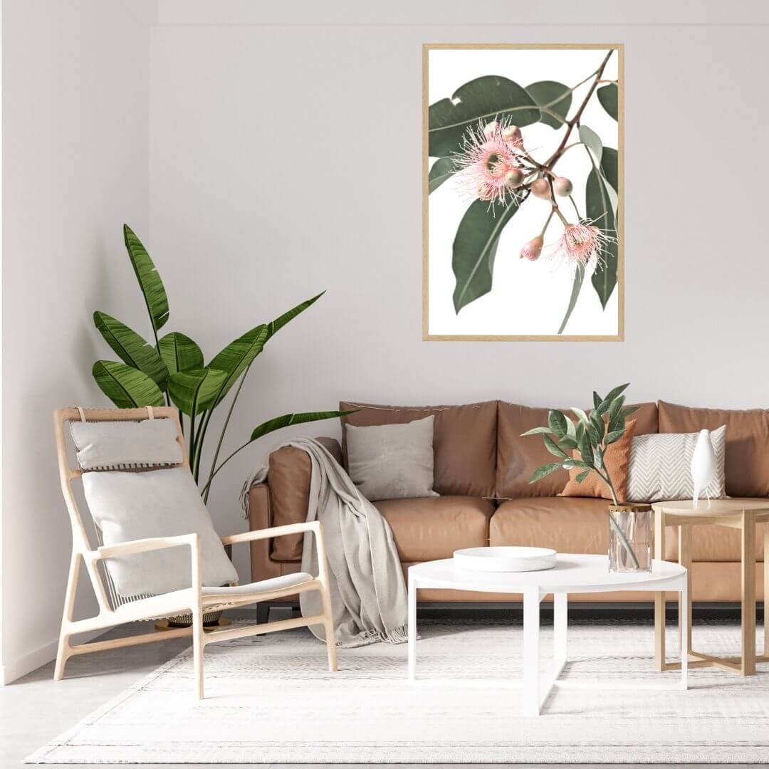 A wall art photo print of native gum eucalyptus flower a with a timber frame to style a wall in living room