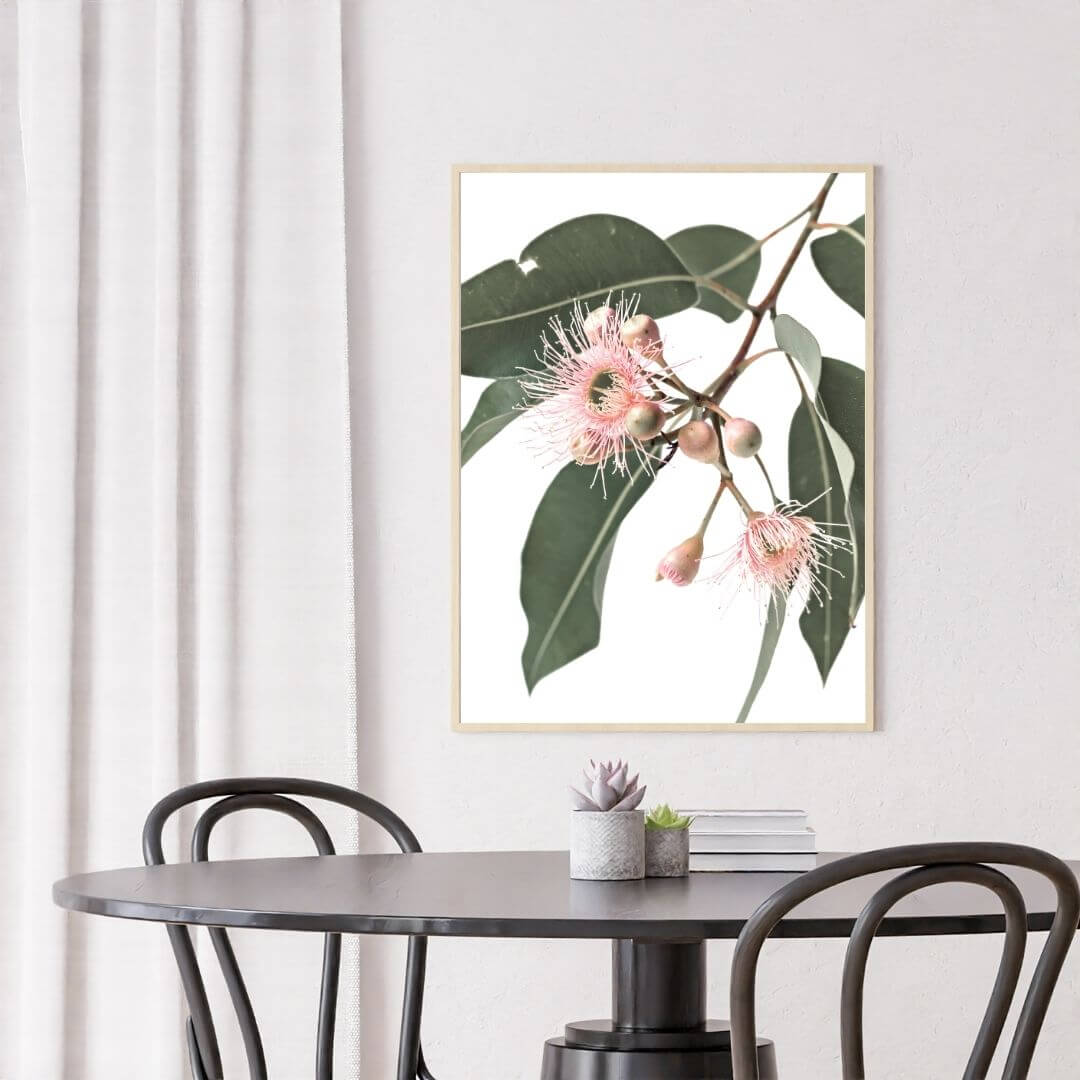 A wall art photo print of native gum eucalyptus flower a with a black frame or unframed for your hallway