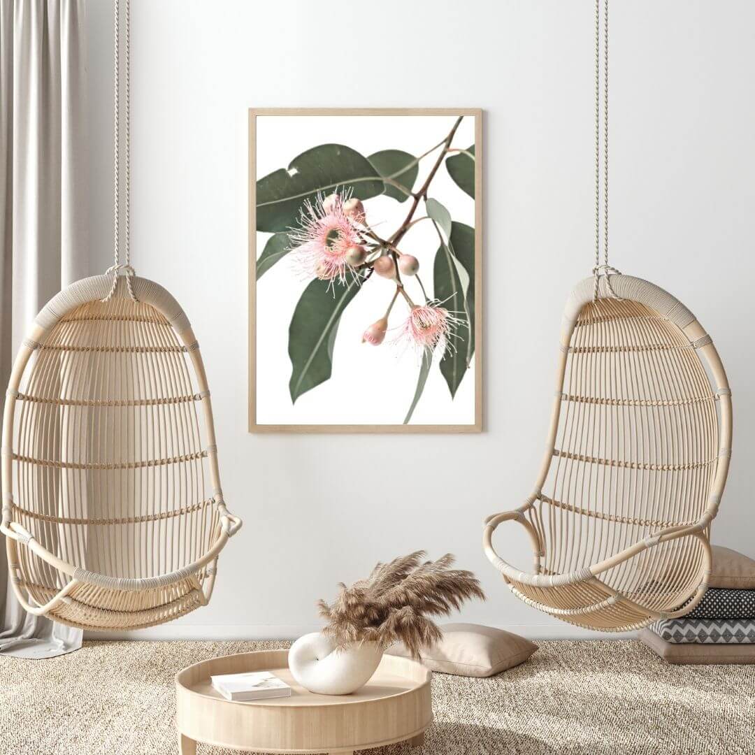 A wall art photo print of native gum eucalyptus flower a with a timber frame or unframed to decorate walls in living room