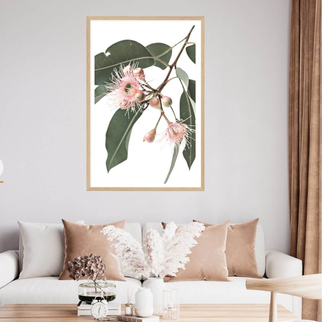A wall art photo print of native gum eucalyptus flower a with a timber frame for the wall in your living room