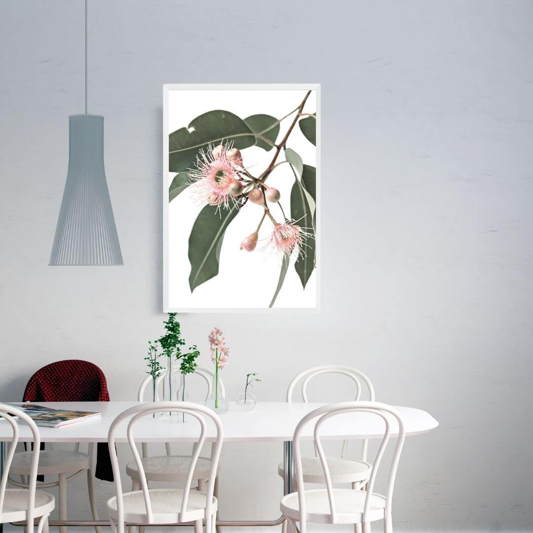 A wall art photo print of native gum eucalyptus flower a with a white frame or unframed to style your dining room walls