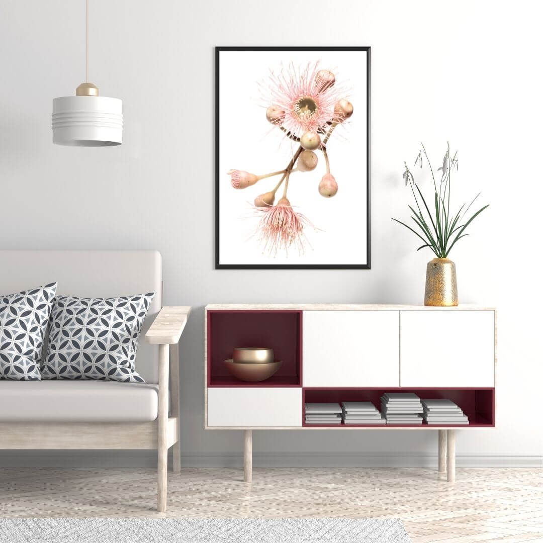 A wall art photo print of native gum eucalyptus flower b with a black frame to style a coastal Australian living room