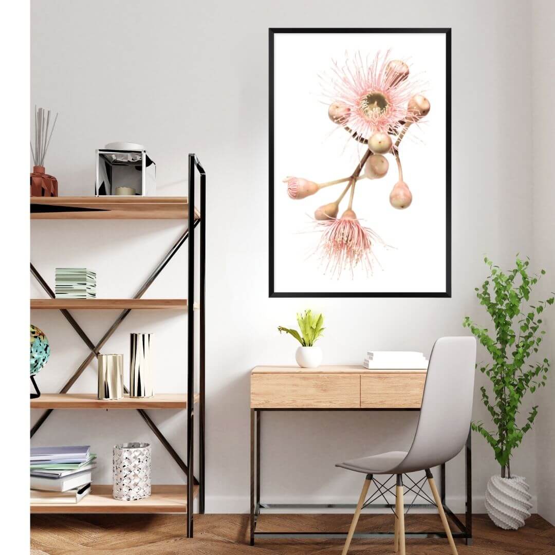 A wall art photo print of native gum eucalyptus flower b with a black frame or unframed for your study office wall