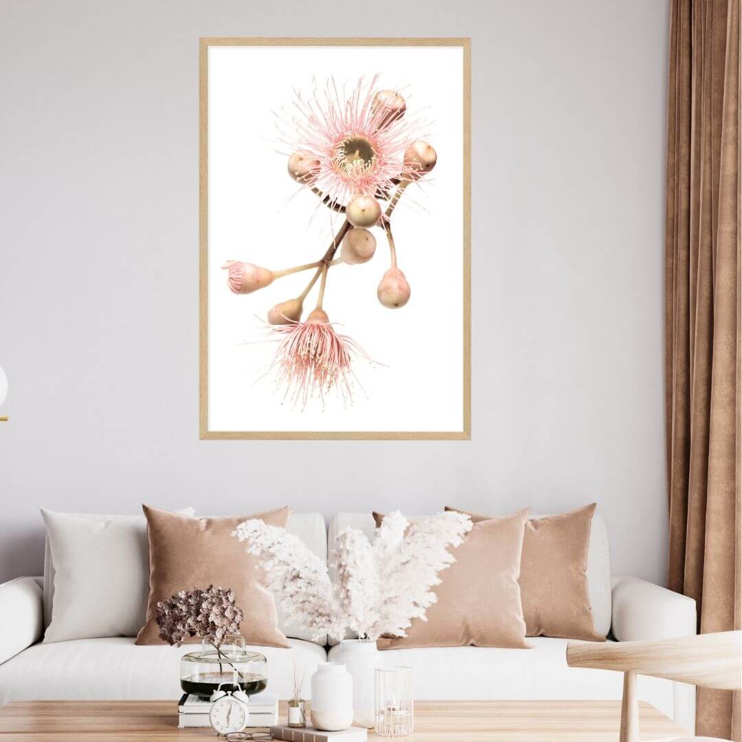 A wall art photo print of native gum eucalyptus flower b with a timber frame to style a wall in living room
