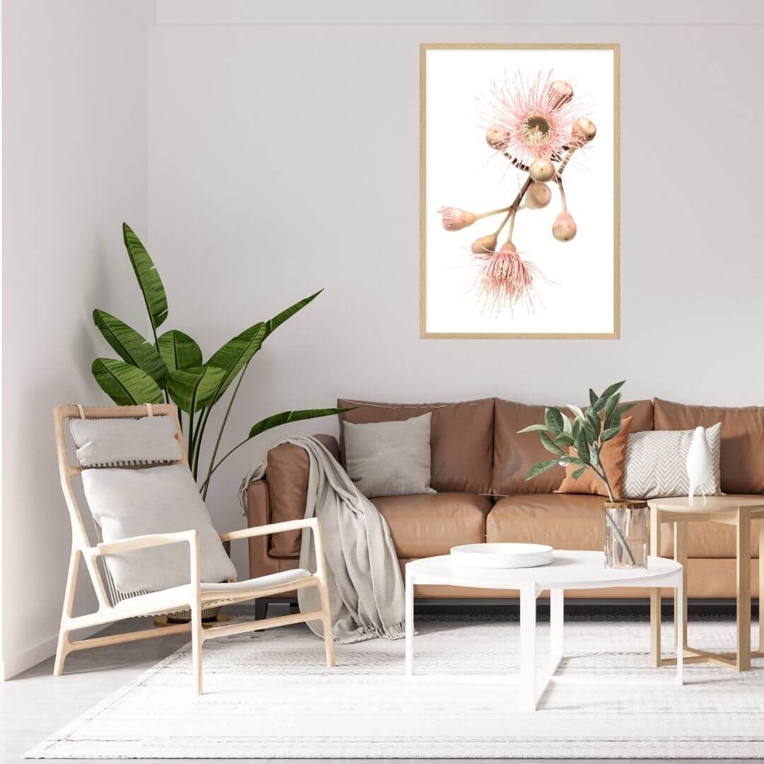 A wall art photo print of native gum eucalyptus flower b with a timber frame for the wall in your living room