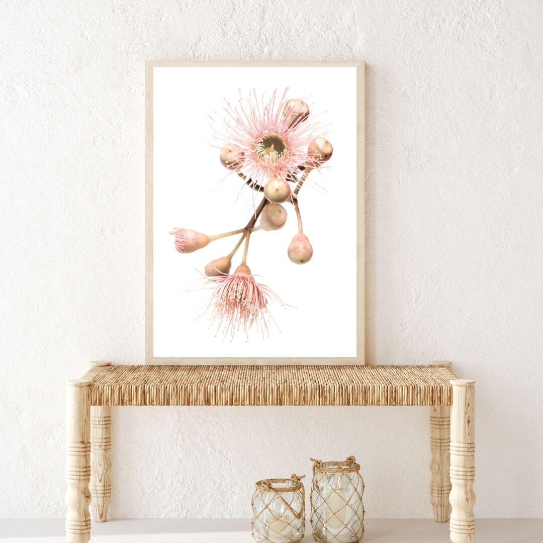 A wall art photo print of native gum eucalyptus flower b with a timber frame in hallway shop online at Beautiful Home Decor with free shipping