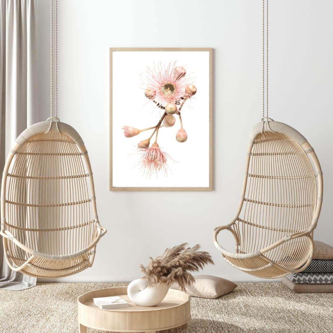 A wall art photo print of native gum eucalyptus flower b with a timber frame or unframed to decorate walls in living room