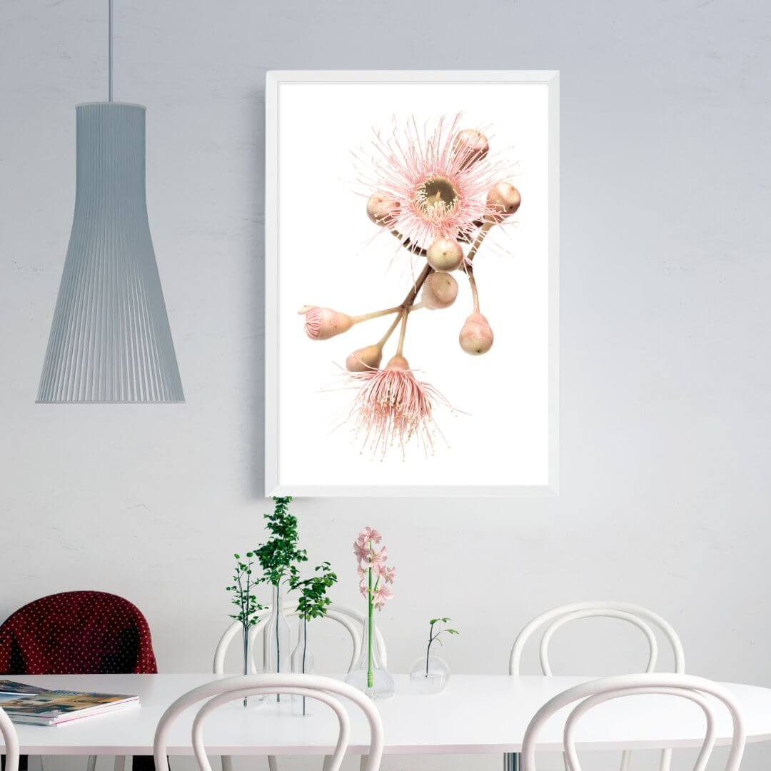 A wall art photo print of native gum eucalyptus flower b with a white frame or unframed to style your dining room walls