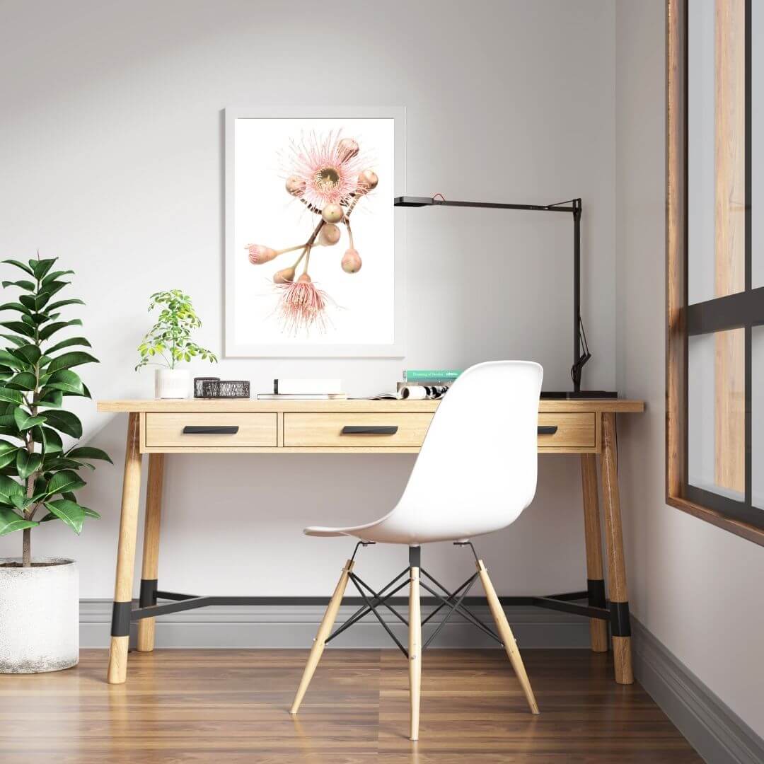 A wall art photo print of native gum eucalyptus flower b with a white frame or unframed for the wall in a kids room