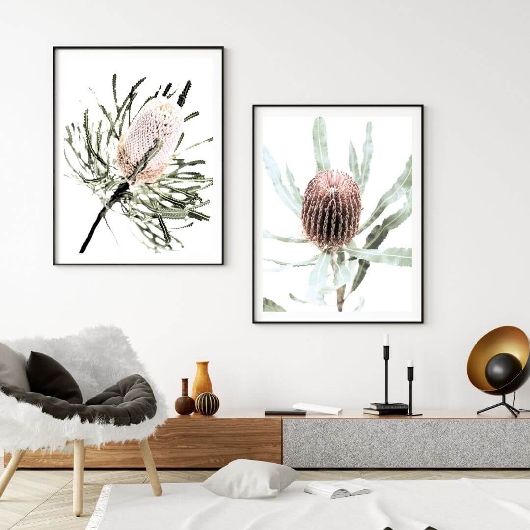 A set of 2 Australian Native Banksia Floral Flowers Wall Art Prints with a black frame or unframed to decorate a wall in your living room