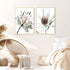 A set of 2 Australian Native Banksia Flowers Wall Art Prints with a timber frame or unframed to style your bedroom walls