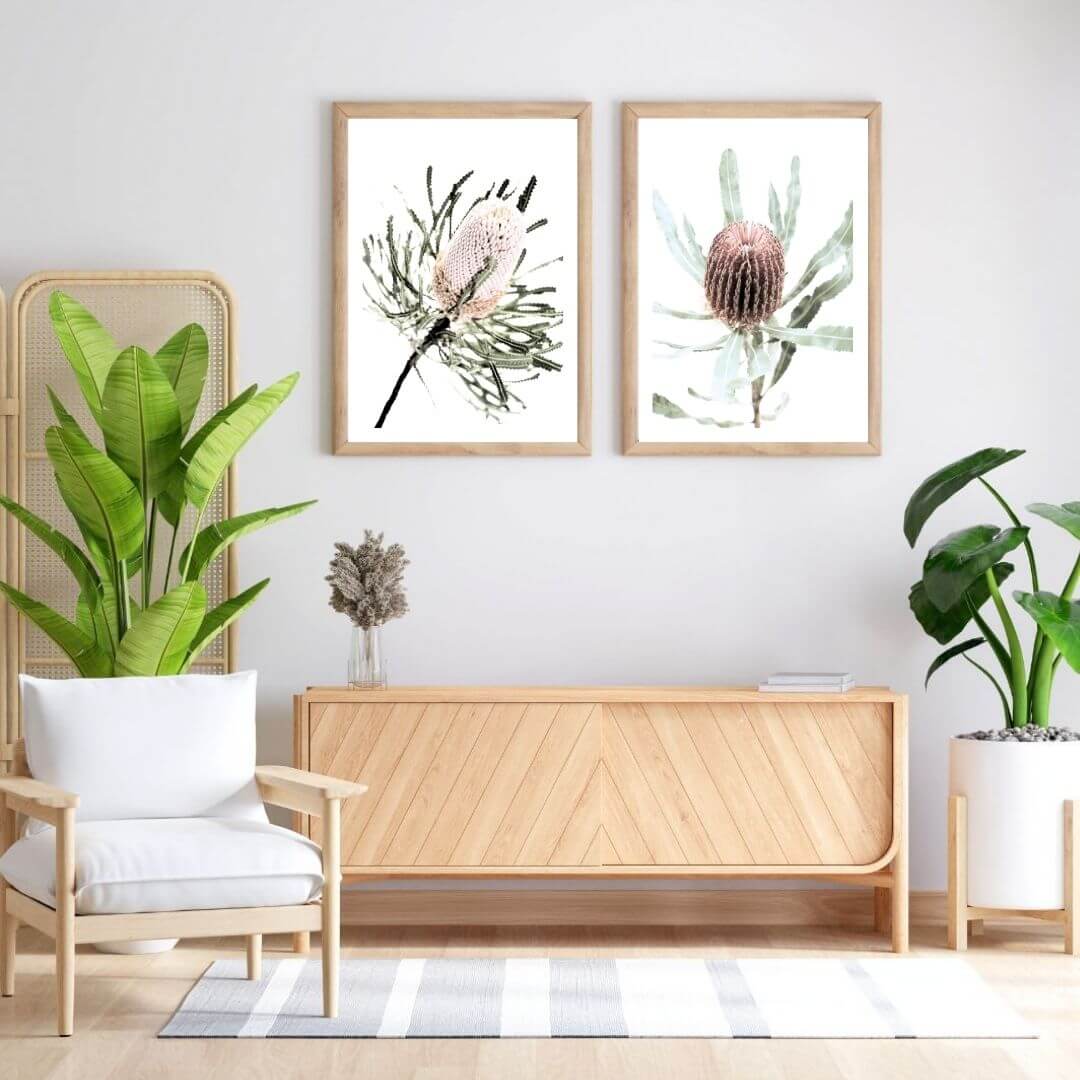 A set of 2 Australian Native Banksia Flowers Wall Art Prints with a frame in timber for a living room wall in Australian Prints